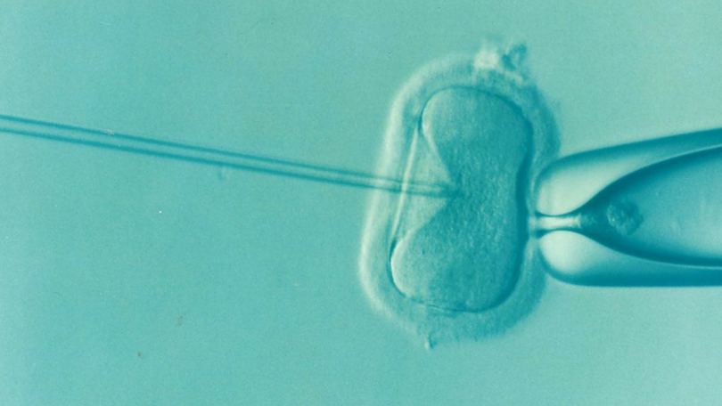 A major IVF group has agreed to settle a class action after healthy embryos were destroyed in error. 