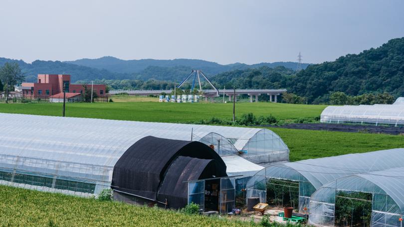 A honeybee farm is seen in front of the newly constructed Libby Bridge near the Demilitarized Zone, in Paju-si, South Korea. The heavily fortified area separating the two Koreas is home to a biodiverse landscape and a bee farm.