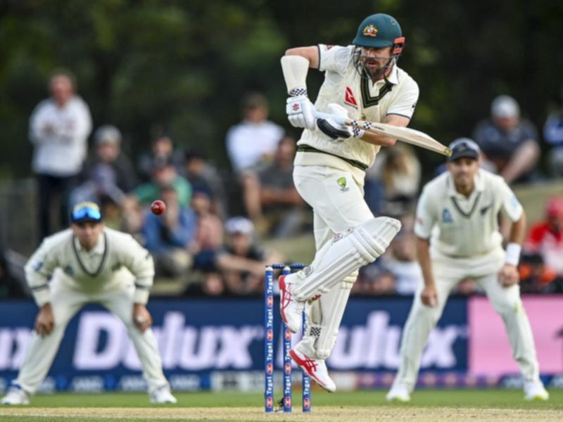 Travis Head bats against New Zealand.