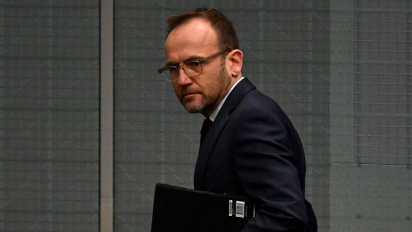 Greens leader Adam Bandt.