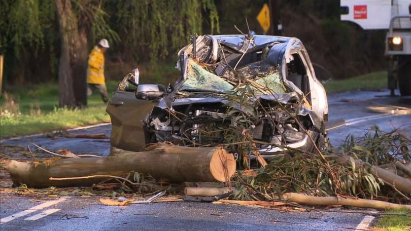 The man and woman were trapped for more than an hour after a tree fell on their car.