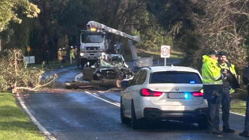 A man has died, and a woman is fighting for life after a tree fell on their car at Gellibrand on Wednesday.