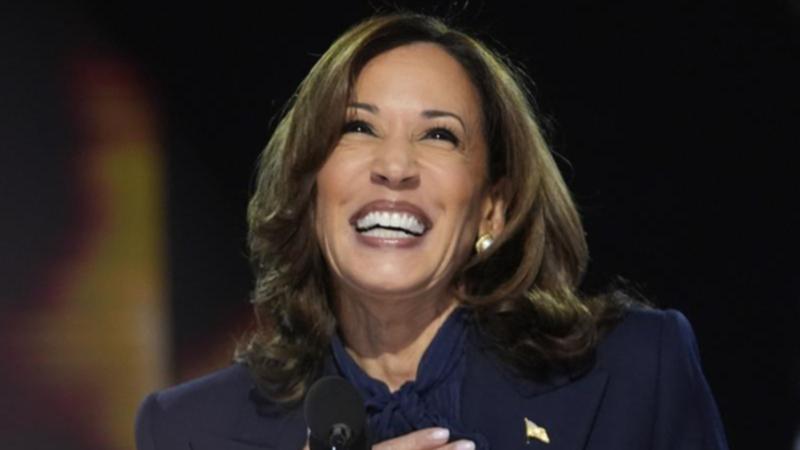 Democratic presidential nominee Kamala Harris has promised to be a leader for 'all Americans'. (AP PHOTO)