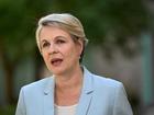 A spokesperson for Environment Minister Tanya Plibersek has refuted claims from a NSW council her Section 10 call makes a local road undrivable.