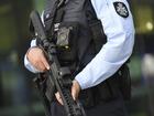 An Australian teen has been charged with terror offences over an alleged plot to attack a Brisbane school. 