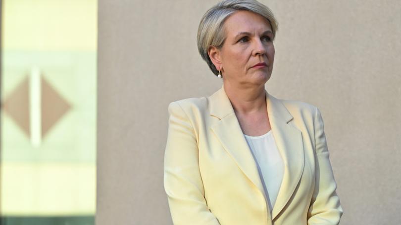 Minister for Environment Tanya Plibersek said the government is committed to giving “precious threatened plants and animals a brighter future.”