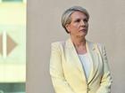 Minister for Environment Tanya Plibersek said the government is committed to giving “precious threatened plants and animals a brighter future.”