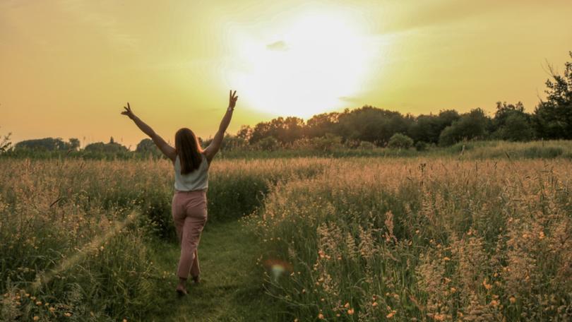 woman, field, sun