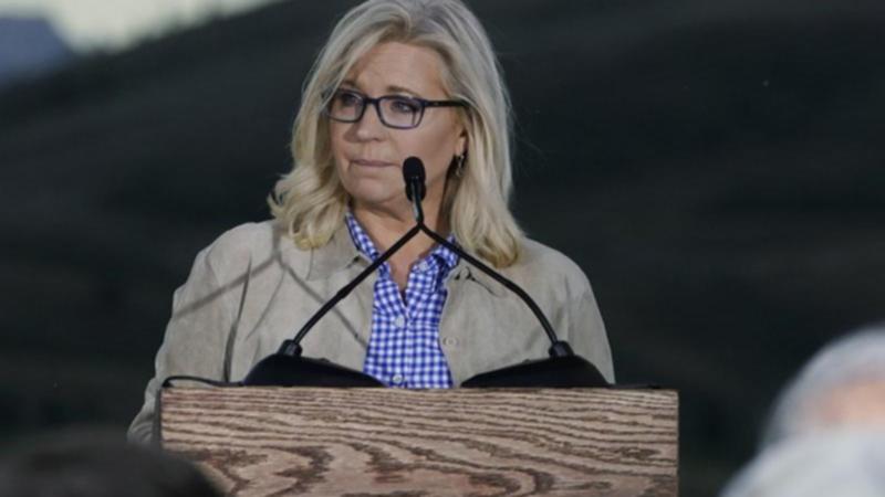 Republican Liz Cheney Cheney became a fierce critic of former US president Donald Trump. 