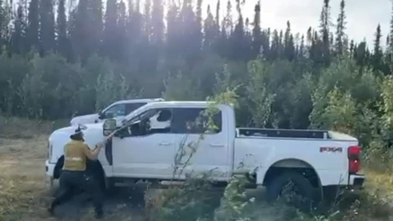 The bear needed to be freed after becoming trapped in the car.