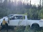 The bear needed to be freed after becoming trapped in the car. 