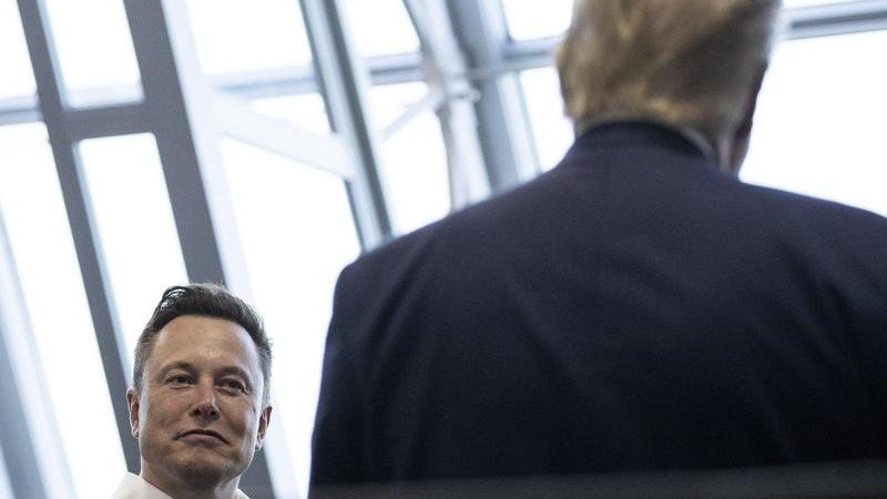 Donald Trump says would ask billionaire supporter Elon Musk to assist with a government audit.