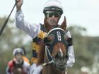 The racing world was devastated after news broke that Cepheus had died following an injury during trackwork. 