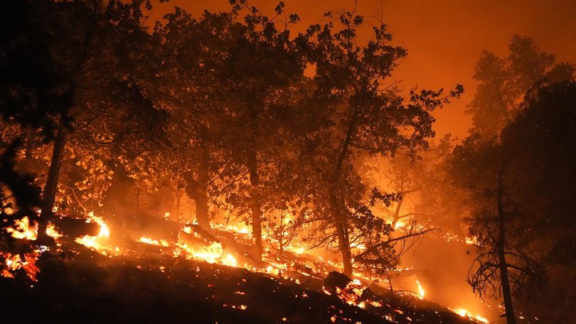 The California community of Wrightwood was evacuated as a major wildfire grew. (AP PHOTO)