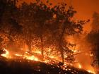 The California community of Wrightwood was evacuated as a major wildfire grew. (AP PHOTO)