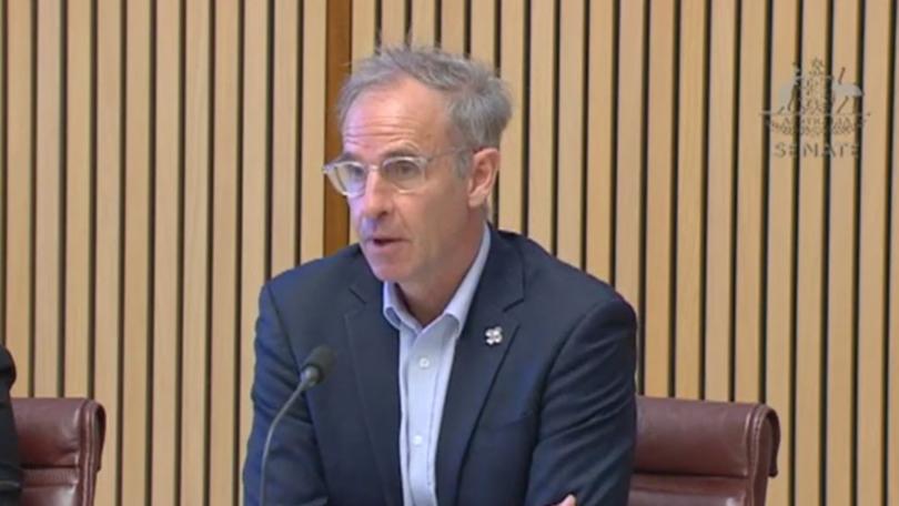 Greens economic spokesman Nick McKim at the Senate inquiry into supermarket prices.