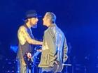 Perry Farrell and Dave Navarro fight at their Los Angeles concert.