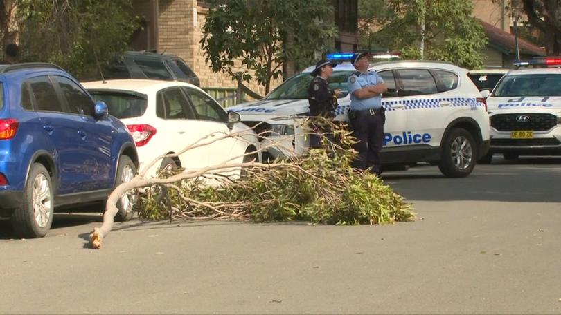 A woman in her 60s has been killed when a tree branch landed on top of her.