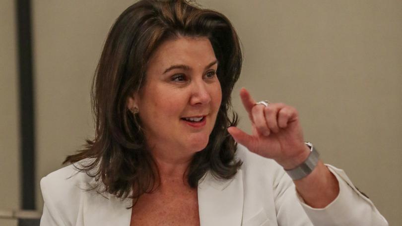 Shadow finance minister Jane Hume said the proposal would give miners tax breaks for work they were already doing.