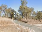 A Victorian man has died after crashing a car into a tree in Queensland. 