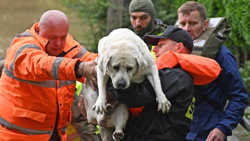 Polish rescuers and soldiers evacuate local residents and their dog in the village of Rudawa, southern Poland.