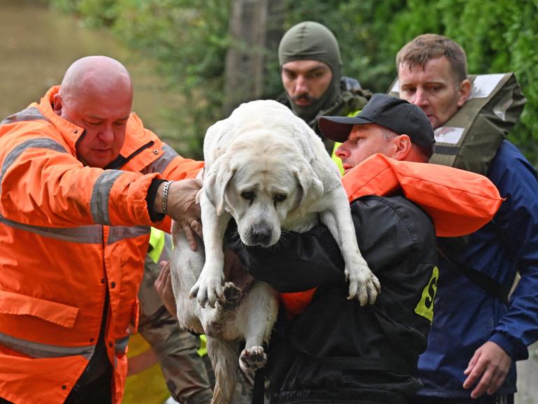 Polish rescuers and soldiers evacuate local residents and their dog in the village of Rudawa, southern Poland.