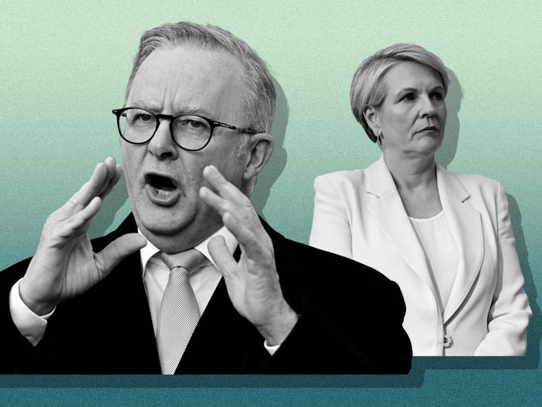 Prime Minister Anthony Albanese and Environment Minister Tanya Plibersek are at odds over a deal with the Greens on Nature Positive laws that would include climate triggers.