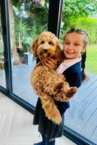 After her worried parents took her to their GP surgery twice, and despite showing symptoms of group A strep, which can cause fatal infections, Mia Glynn was eventually prescribed antibiotics.