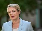 Environment Minister Tanya Plibersek