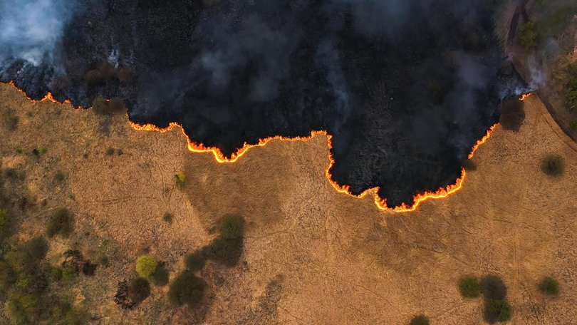 AI and machine-learning software is being used to identify fires as small as five square metres.