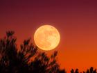 Australian’s will be treated to an incredible show as the Harvest Moon comes into view.