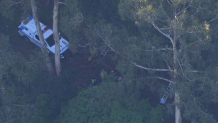 A car has plunged off a cliff and into Victorian bushland, sparking an urgent rescue of the occupant.