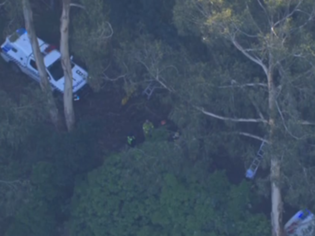 A car has plunged off a cliff and into Victorian bushland, sparking an urgent rescue of the occupant.