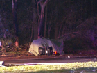 A man and woman have died in a horror crash in Balgowlah in Sydney’s north. 