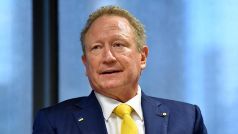 One of Andrew Forrest’s closest former lieutenants says he was shocked by the scale of Fortescue’s spying.