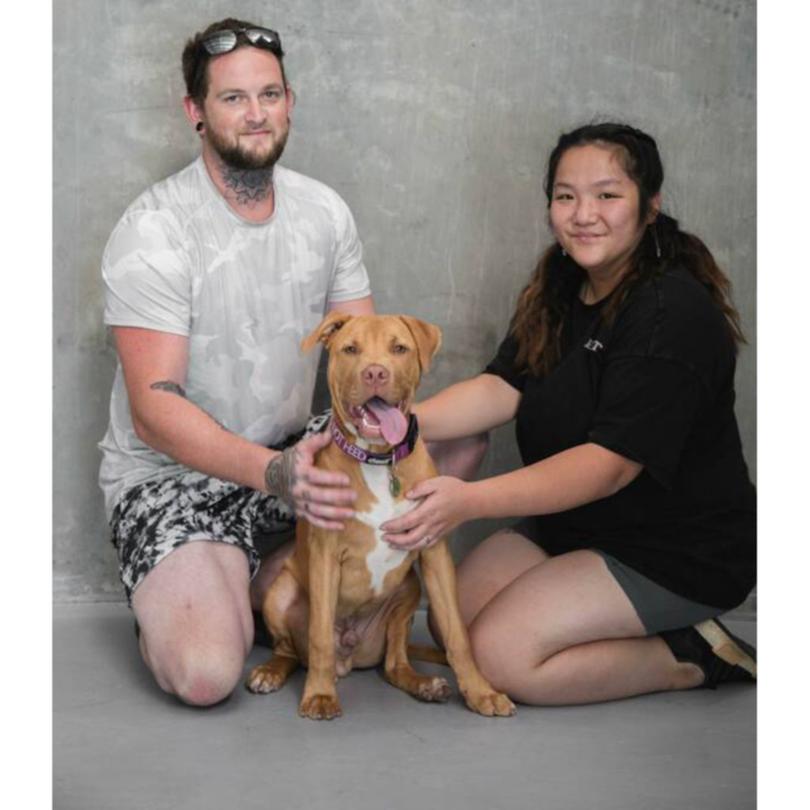 Lucy Yang and her husband with thier Amercian Staffordshire Terrier Drax.