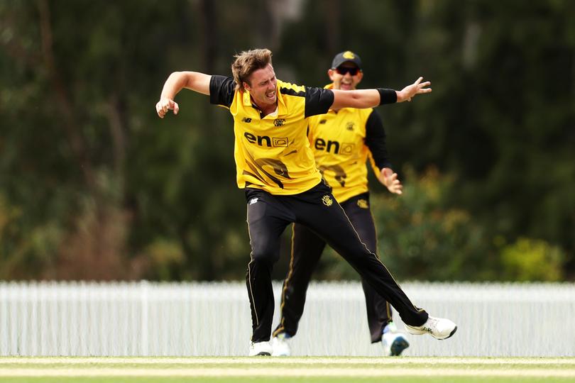 SYDNEY, AUSTRALIA - SEPTEMBER 24: Bryce Jackson of West Australia celebrates taking the wicket of Nathan McSweeney of South Australia during the ODC match between Western Australia and South Australia at Cricket Central, on September 24, 2024, in Sydney, Australia. (Photo by Mark Metcalfe/Getty Images)