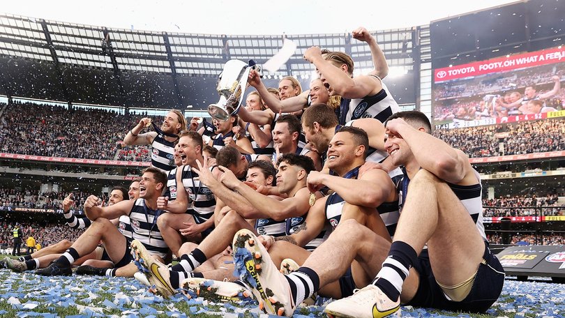 Gary Rohan and Brandan Parfitt have been delisted two years after Geelong won the AFL premiership.