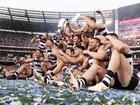 Gary Rohan and Brandan Parfitt have been delisted two years after Geelong won the AFL premiership.