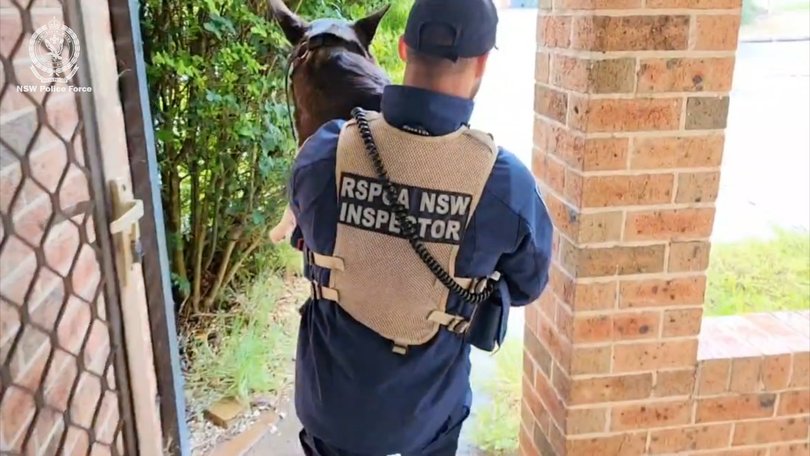 Police have raided a house and arrested two men.