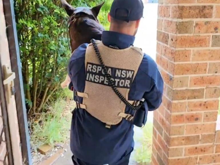 Police have raided a house and arrested two men.