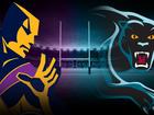 The Melbourne Storm and the Penrith Panthers will face off in the NRL grand final. 