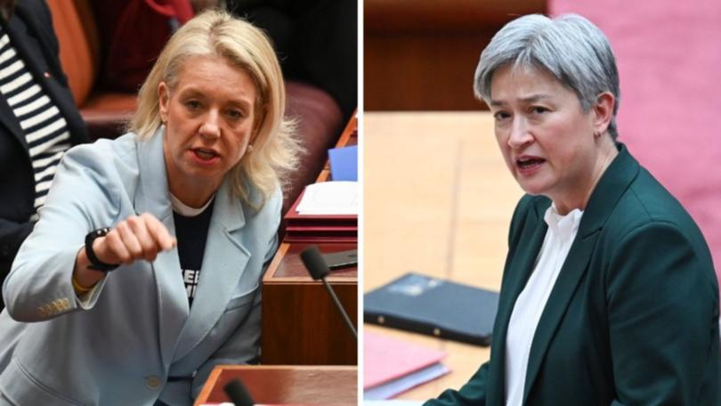 Nationals senator Bridget McKenzie said the Government was ‘playing domestic politics’ in calling for a timeline for a two-state solution. 