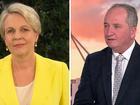 Tanya Plibersek confirms security agencies are looking at weaponisation of Chinese-made electric vehicles after Hezbollah’s pager explosions in Lebannon