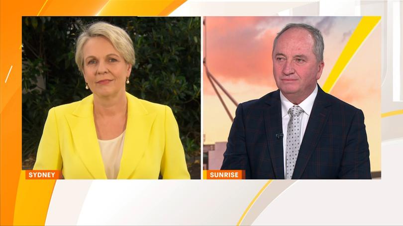 Albanese minister Tanya Plibersek and Nationals MP Barnaby Joyce appeared on Sunrise on Monday, with Plibersek confirming security agencies are investigating the weaponisation of Chinese-made EVs. 