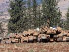 Israeli army tanks are deployed in the Upper Galilee region of northern Israel near the border with Lebanon on September 29