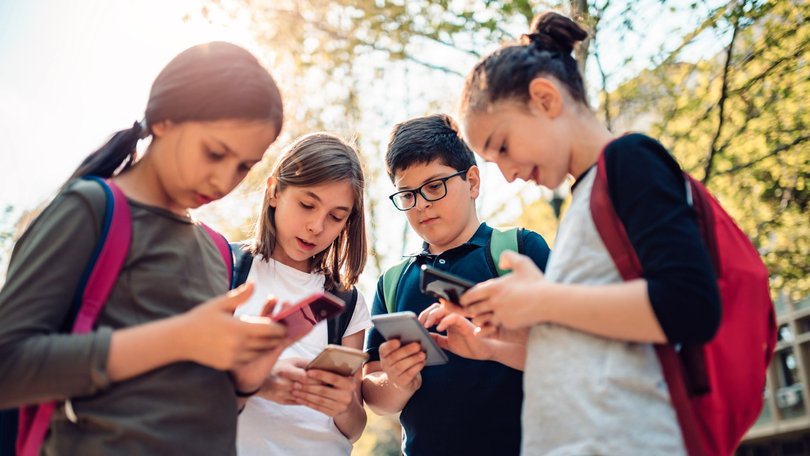 A parliamentary inquiry has been told social media should be restricted for all children.