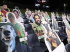 Because of COVID-19, the stands featured cardboard cut-outs for the 2020 Penrith-Melbourne clash. (Craig Golding/AAP PHOTOS)