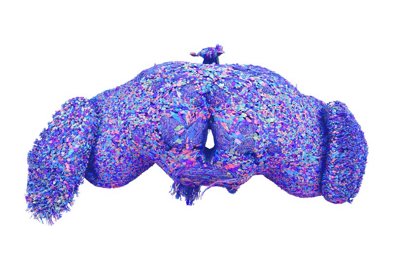 This photo shows how the brain of a fruit fly is dominated by neurons that take in signals from the eyes on either side of its head and process them to perceive the fly’s surroundings.