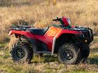 Young girl badly injured in quad bike accident.